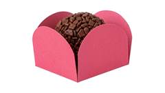 FORMA PETALA N5 ROSA CURIFEST