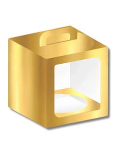 CX PANET 100G ABRT 9X9X11 OURO CURISFEST