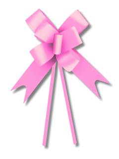 LACO PRONTO LISO PINK 48MM 10UN CROMUS