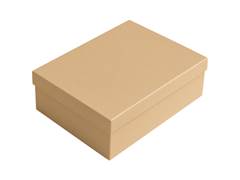CX BASICA C 16X20X3.5 KRAFT PCT C/10