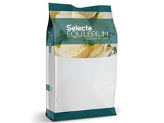 BASE P/GELAD LEIT NEUT ZERO 800G SELECTA