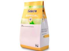 PO PARA GELADO COCO ESPECIAL 1KG SELECTA