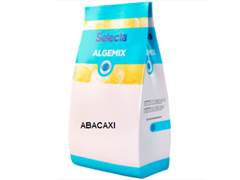 PO PARA GELADO ABACAXI ALGEMIX 1KG SELECTA