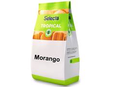PO P/GELAD MORANGO TROPICAL 1KG SELECTA