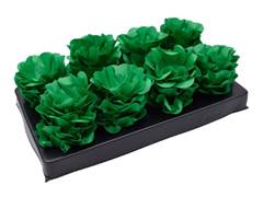 FORMA VRD NSTYLE 40UN ULTRAFEST