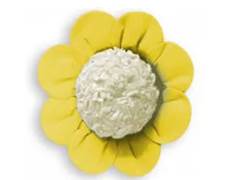 FORMA AMR DAISY 50UN ULTRAFEST