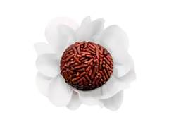 FORMA BCA DAISY 50UN ULTRAFEST