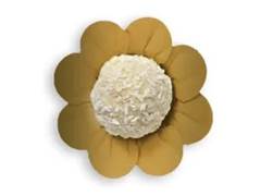 FORMA OUR DAISY 50UN ULTRAFEST