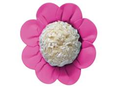 FORMA PNK DAISY 50UN ULTRAFEST
