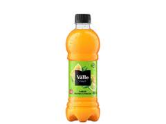 SUCO FRUT CITRIC FRUT GF 450ML DEL VALLE